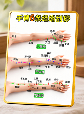 手臂经络刮痧点位科普拓客摆件