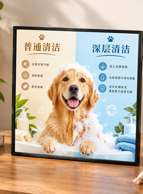 宠物美容店桌面装饰摆台猫狗洗浴知识对比相框创意家居摆件