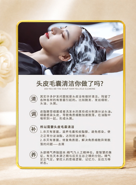 头皮毛囊清洁养护科普店用摆件