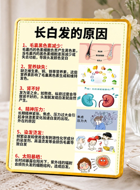 养发馆养生馆长白发原因科普装饰摆件桌面知识展示牌