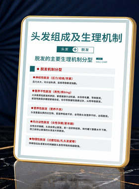 头发组成及生理机制脱发分型装饰摆件养发馆门店桌面科普摆台