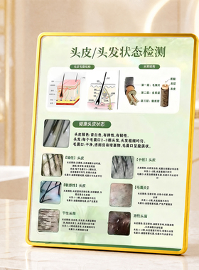 头皮头发状态检测拓客引流摆件