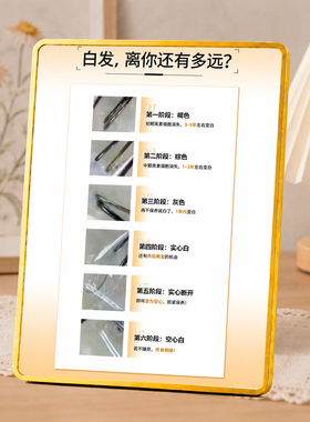 养发馆白发阶段科普展示摆件理发店门店桌面装饰提示摆台