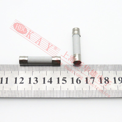 陶瓷/玻璃保险丝管 6*30 8A 10A 12A 15A 20A 25A 30A慢熔T/快断F