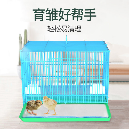 芦丁鸡饲养箱尿片垫纸鹌鹑宠物鸡垫料育雏箱粪便清洁鸟笼垫纸瞬吸