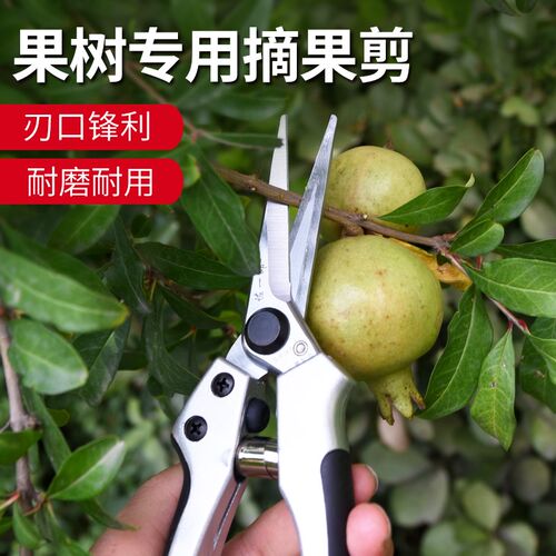 佐一郎8167采果稀果剪刀/疏果剪 剪葡萄花枝多肉盆景修花枝剪