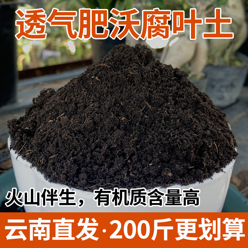 腐叶土50斤腐熟泥炭土养花种菜通用型营养土疏松透气有机腐殖土壤