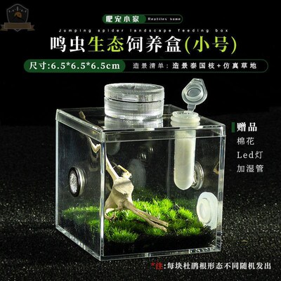 小蜘蛛跳蛛蝈蝈盒兰花螳螂观察盒黄蛉扎嘴笼子鸣虫饲养盒观赏盒透