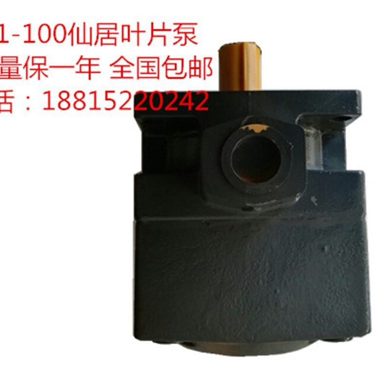 M7130平面磨床油泵YB1-100叶片泵杭州M7132磨床油泵液压泵配件