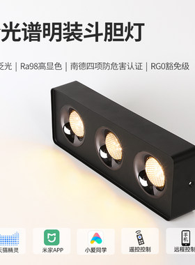 超薄明装射灯客厅卧室走廊led无主灯照明cob无顶吸顶式双头斗胆灯