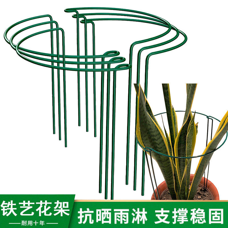 铁艺花架蟹爪兰绣球花支架植物固花架