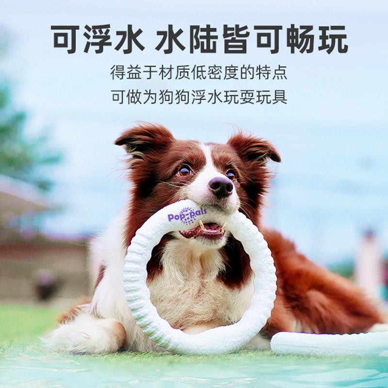 巨小萌贵为狗狗玩具飞盘狗专用耐咬金毛边牧拉布拉多宠物训狗飞环