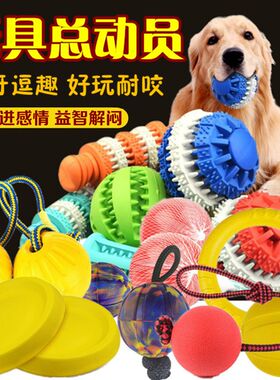 小狗狗玩具球耐咬磨牙棒宠物用品幼犬咬胶狗子益智大型犬解闷神器