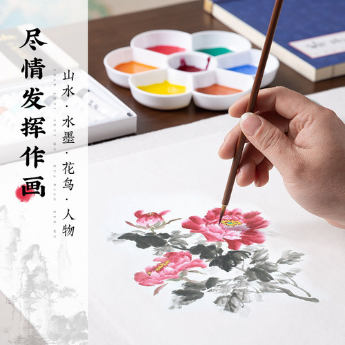 梅林笔庄国画颜料12色初学者儿童画画入门材料水墨画中国画颜料成