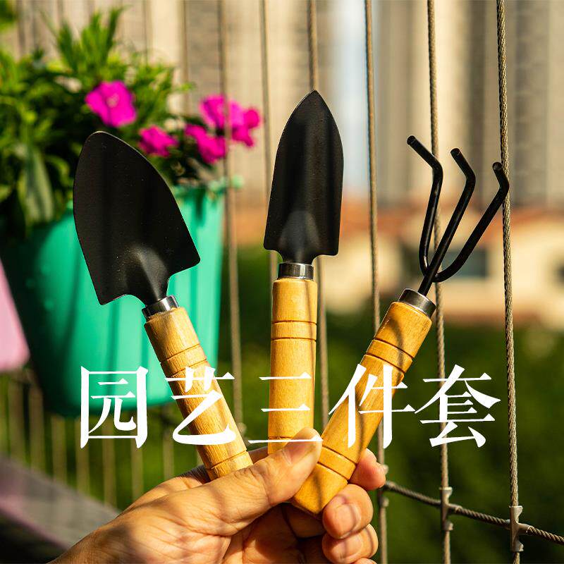 园艺三件套铁铲铁耙铁楸迷你套装工具家庭种植多肉挖土木柄盆栽