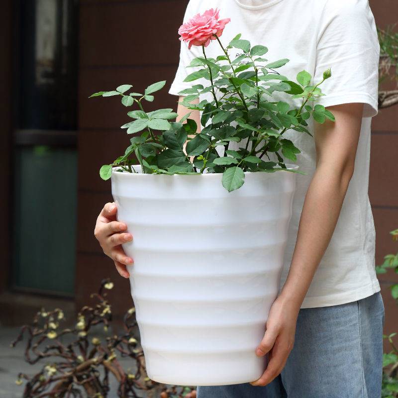大号超特大号仿陶瓷花瓶非陶瓷防摔种花盆幸福树客厅虎皮兰玉树盆图片