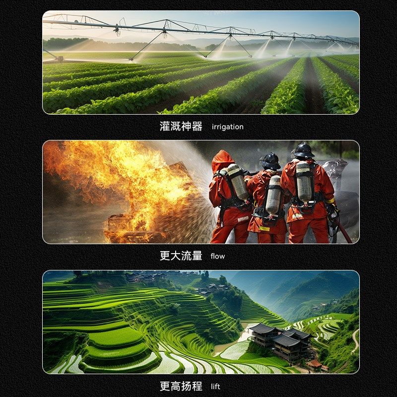 新款汽油机高山供水泵一寸抽水机螺杆泵柴油机抽水泵高扬程污水泵