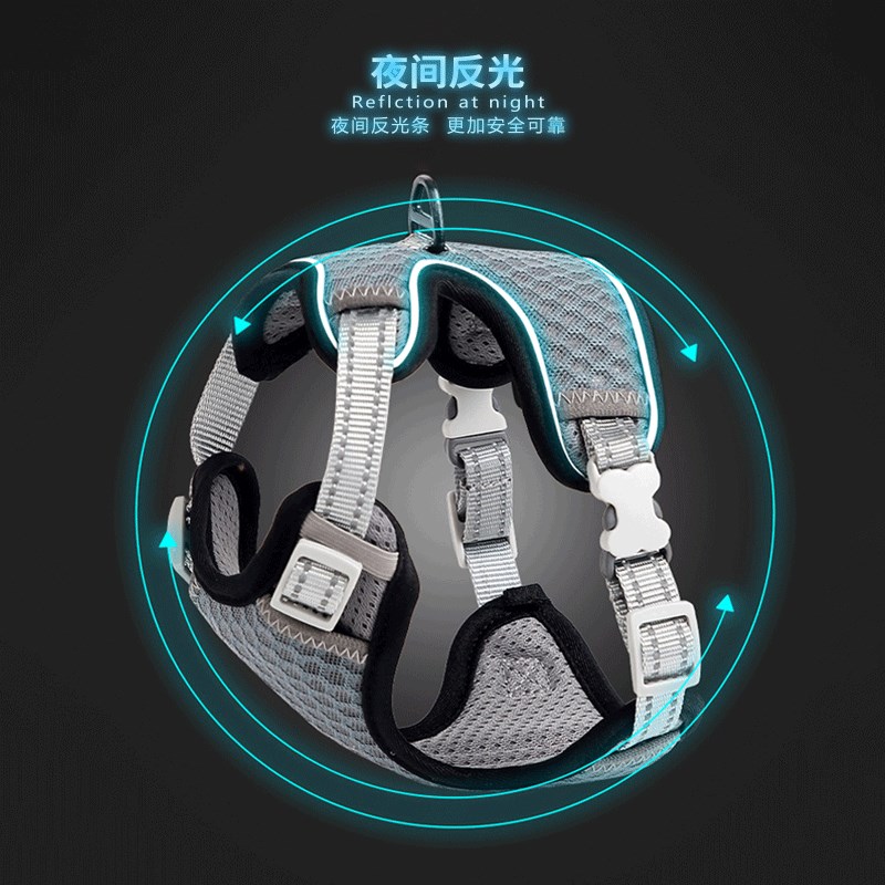 猫咪牵引绳胸背带背心式家用宠物专用防挣脱溜猫神器绳子栓猫链子