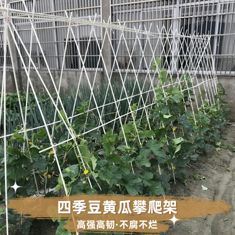 豆角黄瓜爬藤架家用农用豇豆架玻璃纤维杆玻璃钢小苗支撑杆棒架子图片