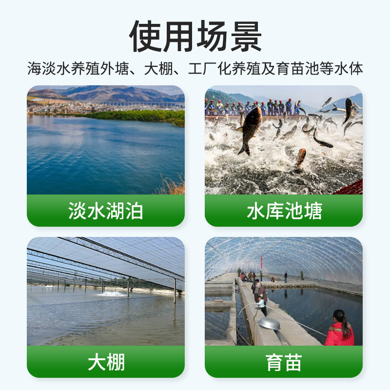 小球藻种水产养殖小球藻绿藻硅藻种鱼虾蟹塘水产复合藻种肥水培藻