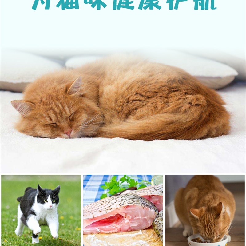 派派猫粮 500g*10包海洋鱼味牛肉味幼猫成猫全猫种天然挑嘴猫主粮