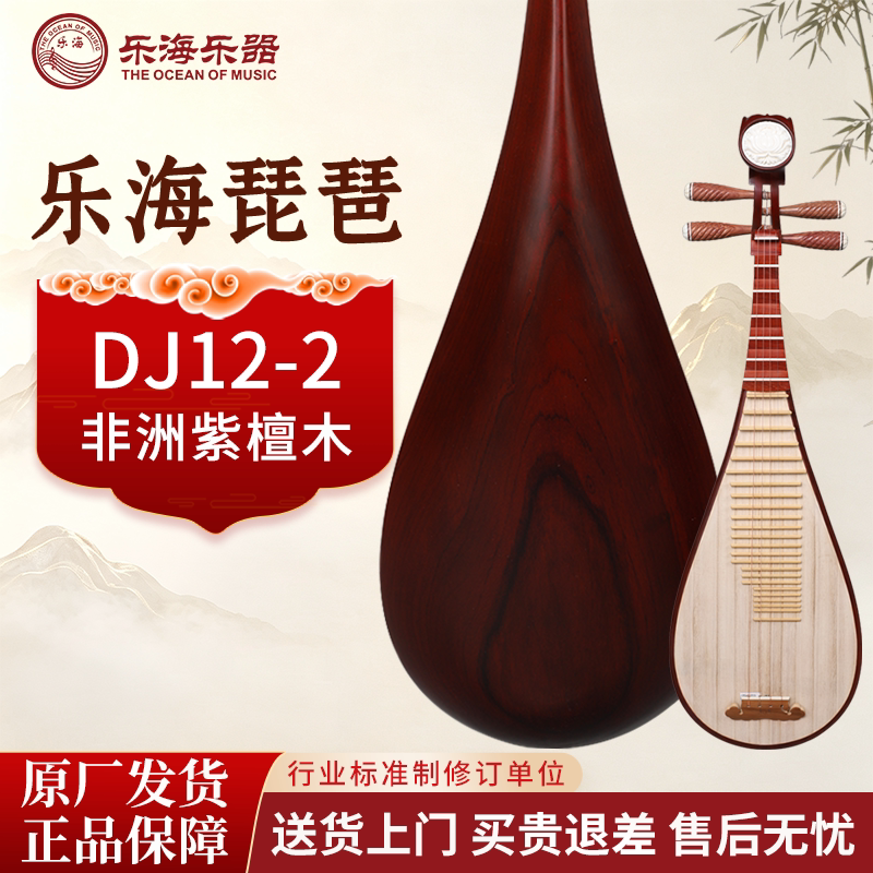 乐海琵琶乐器非洲紫檀木素面典雅图案初学考级推荐DJ12-2