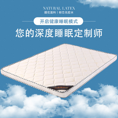 1.5米经济型1.8x2.0两用棕垫软硬棕子母床3e椰棕床垫软硬适中可折