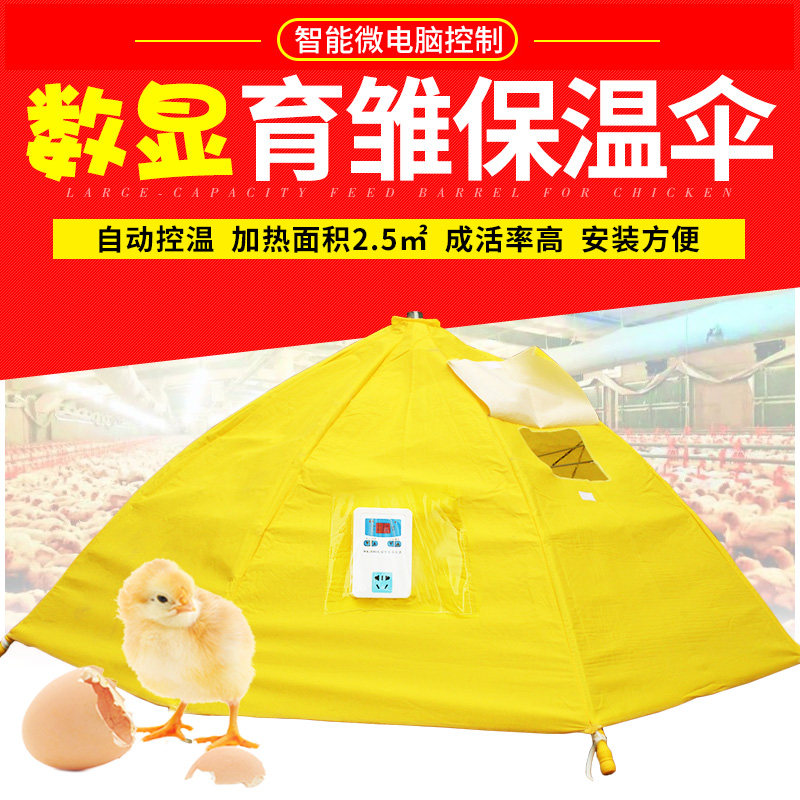 育雏伞育雏保温器养殖取暖设备 自动保温伞 控温伞养鸡设备加温机