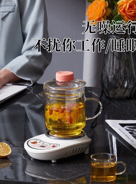 全玻璃养生壶家用多功能电热玻璃水杯花茶壶办公室迷你小型煮茶器