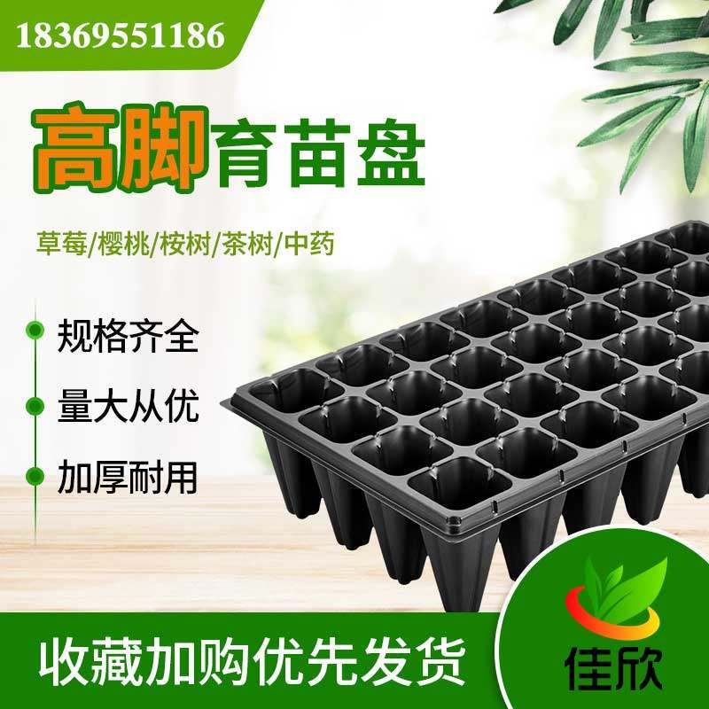 15/21/32/50孔高脚林木扦插育苗盘草莓樱桃菠萝育秧桉树构树穴盘