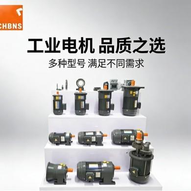 CHBNS侨邦G系列速电机三相异步立式卧式效节能工厂直供
