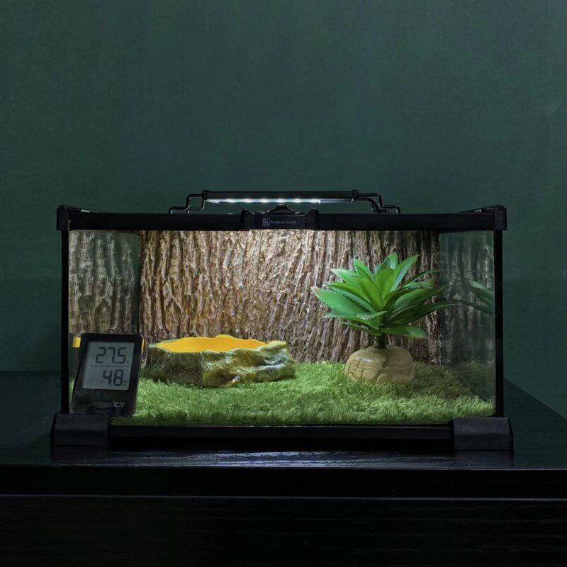 角蛙爬宠爬虫莫斯地毯树皮造景干湿分离养蛙玻璃饲养缸套装