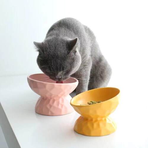 陶瓷猫碗高脚斜口护颈保护颈椎宠物粮食碗防打翻大口径猫狗喝水碗