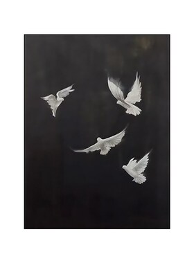 白鸽 中古风客厅装饰画美式黑白高级感沙发墙挂画小众艺术摆件画
