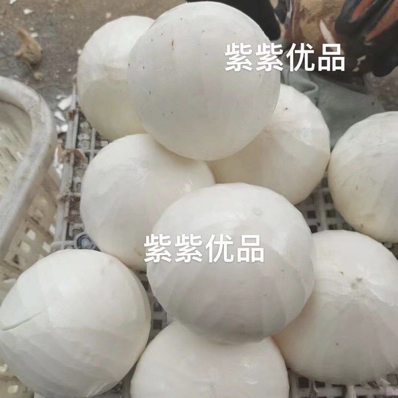 椰子去皮器 椰子刀 削老椰子皮的刀 拨皮器工具刨刀刮皮刀 高速钢