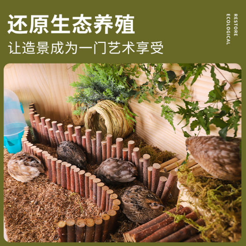 芦丁鸡饲养箱鸡窝造景用品鹌鹑保暖草编鸟窝鹦鹉窝鸟巢下蛋窝鸡盒
