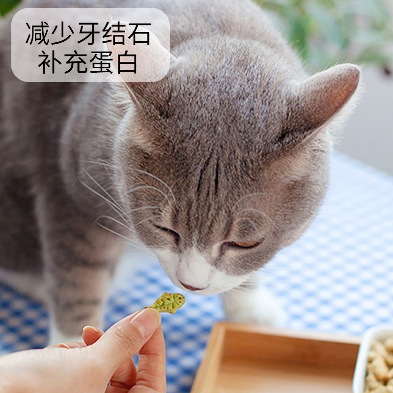 猫咪零食薄荷饼干咀嚼耐咬帮助磨牙补充营养适口性好英美短猫零食