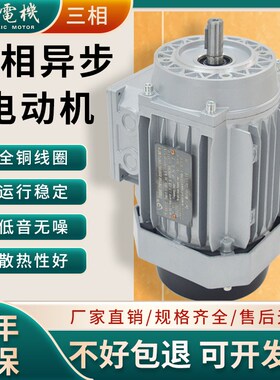 2.2KW3KW四级德力电机GS100L1-4 100L2-4 三相380V异步马达铜芯