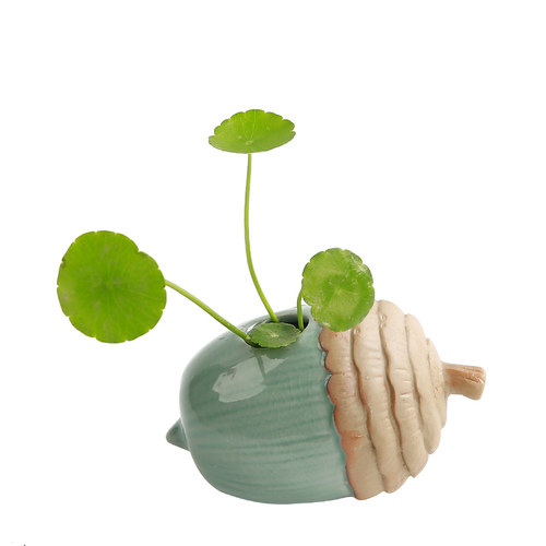 哥窑坚果简约客厅创意插花摆件陶瓷花瓶摆设水培器皿铜钱草水养