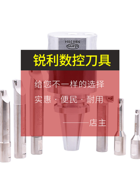 BH2084微调精镗刀套装搪孔刀头B NT40 50