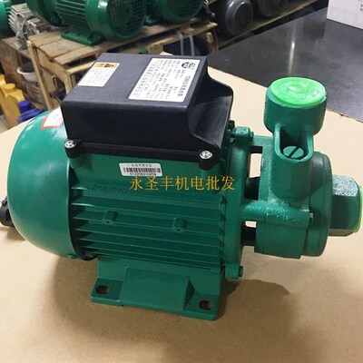 广东凌霄1DB35 1DB45 1DB65 -B清水泵330W 家用抽水机550W 750W