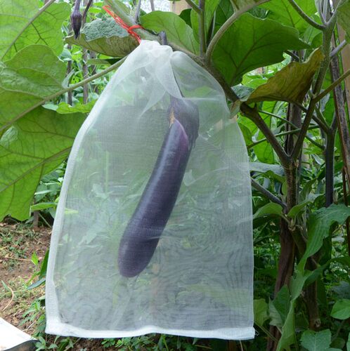 尼龙网袋无花果水果网套袋透气防虫防鸟蔬菜丝瓜葡萄保护袋浸种袋
