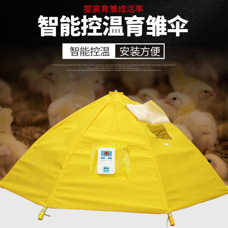 小鸡育雏伞育雏器保温箱孵化机脱温设备自动控温伞保温伞养鸡设备