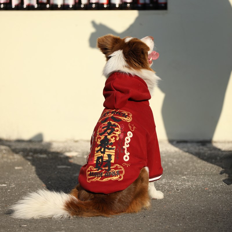 狗狗新年衣服秋冬卫衣拉布拉多过年喜庆衣服金毛边牧加厚保暖冬装