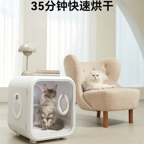有感冻干宠物烘干箱全自动猫咪吹风机狗狗洗澡吹毛神器吹水机静音