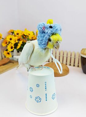 鹦鹉小帽子衣服仓鼠手工编织毛线玄凤金丝熊蜜袋鼯花枝鼠拍照饰品