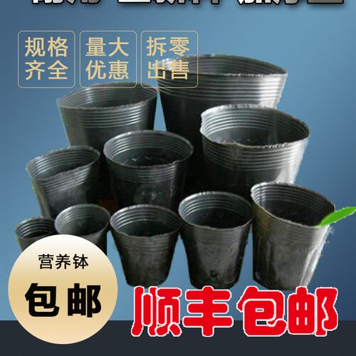 营养钵育苗盆种植穴盘塑料营养袋育苗袋一次性花盆营养杯育苗神器