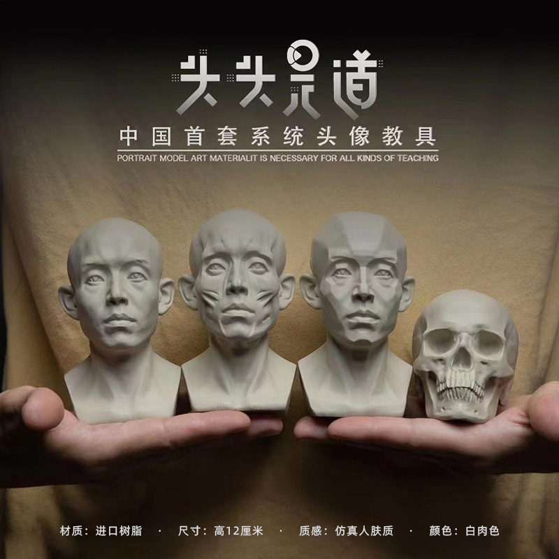 头头是道头像教具头骨石膏头像美术写生教具小型雕塑素描摆件人像