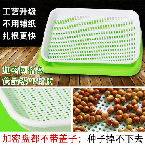 豆芽发芽盆芽苗菜育苗托盘无土栽培水培蔬菜设备种植盘芽菜神器杯