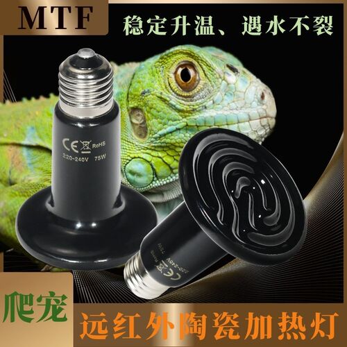 加热灯陶瓷灯保温灯爬宠灯不带彩35W可调节热带蛙龟蛇鬃狮发热灯